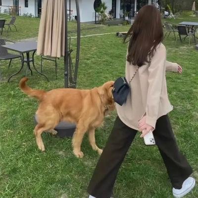 黑手党老大